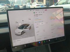 Tesla Model 3 2023 Long Range All-Wheel Drive - ფოტო 14