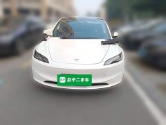 Tesla Model 3 2023 Long Range All-Wheel Drive - ფოტო 2