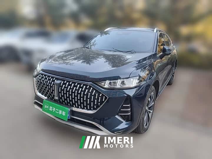 Great Wall WEY Mocha 2.0T Two-Wheel Drive Premium Edition