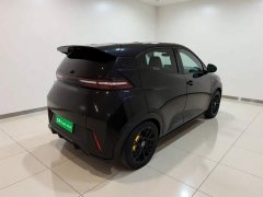 BYD Seagull Freedom Edition - ფოტო 4
