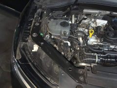 Volkswagen Tiguan L Outstanding Edition 300TSI Automatic FWD Dragon Ascendant Version - ფოტო 20