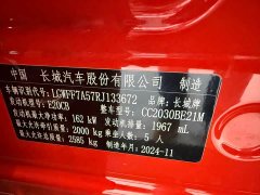 Tank 300 2024 2.0T Conqueror - ფოტო 11