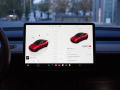 Tesla Model Y Performance All-Wheel Drive - ფოტო 10