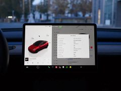 Tesla Model Y Performance All-Wheel Drive - ფოტო 11