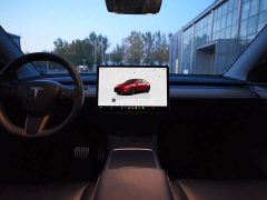 Tesla Model Y Performance All-Wheel Drive - ფოტო 12