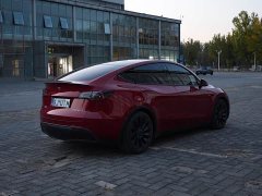 Tesla Model Y Performance All-Wheel Drive - ფოტო 5