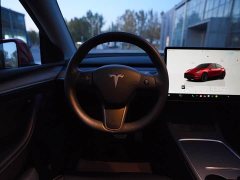 Tesla Model Y Performance All-Wheel Drive - ფოტო 9