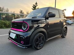 Geely Panda 210km Panda Kart - ფოტო 1