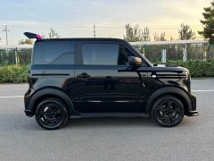 Geely Panda 210km Panda Kart - ფოტო 13