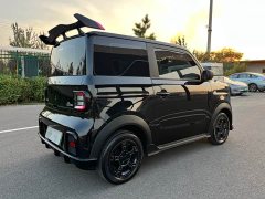 Geely Panda 210km Panda Kart - ფოტო 14
