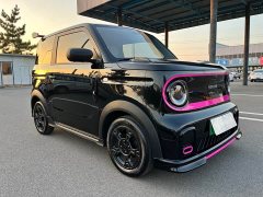 Geely Panda 210km Panda Kart - ფოტო 3