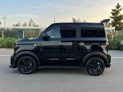 Geely Panda 210km Panda Kart - ფოტო 4