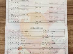 Li Auto L9 2022 Max - ფოტო 19
