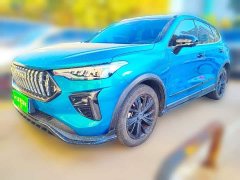 Haval Chitu Jiqing Edition 1.5T Golden Rabbit - ფოტო 1