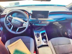 Haval Chitu Jiqing Edition 1.5T Golden Rabbit - ფოტო 10