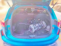 Haval Chitu Jiqing Edition 1.5T Golden Rabbit - ფოტო 20
