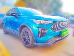 Haval Chitu Jiqing Edition 1.5T Golden Rabbit - ფოტო 3