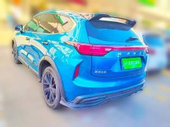 Haval Chitu Jiqing Edition 1.5T Golden Rabbit - ფოტო 4