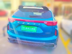 Haval Chitu Jiqing Edition 1.5T Golden Rabbit - ფოტო 5