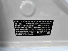 Buick GL8 New Energy Luzun Respect Edition 7-Seater - ფოტო 10