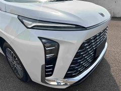 Buick GL8 New Energy Luzun Respect Edition 7-Seater - ფოტო 12