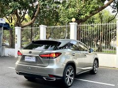 Lexus RX 2021 300 AWD Special Edition - ფოტო 7