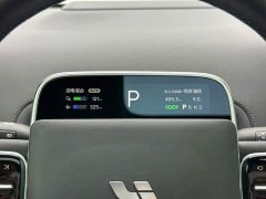 Li Auto L9 Max - ფოტო 14