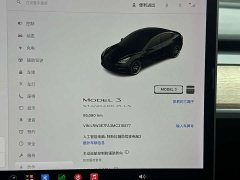 Tesla Model 3 Facelift Standard Range RWD Upgrade 3D1 - ფოტო 12