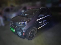 Chery Ant Edition 30kW 301km - ფოტო 1