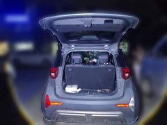 Chery Ant Edition 30kW 301km - ფოტო 15