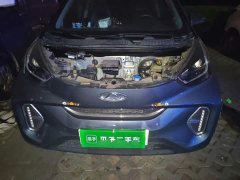 Chery Ant Edition 30kW 301km - ფოტო 16