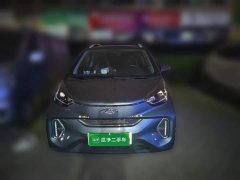 Chery Ant Edition 30kW 301km - ფოტო 2
