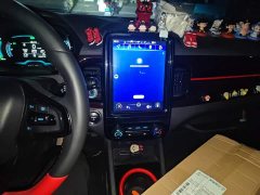 Chery Ant Edition 30kW 301km - ფოტო 9