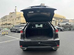 Lexus RX 2021 300 AWD Special Edition - ფოტო 14