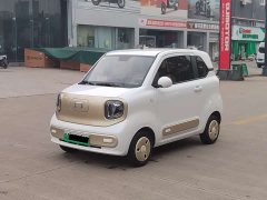 FAW Besturn Xiaoma 170km Vitality Edition - ფოტო 1