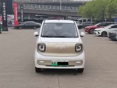 FAW Besturn Xiaoma 170km Vitality Edition - ფოტო 2