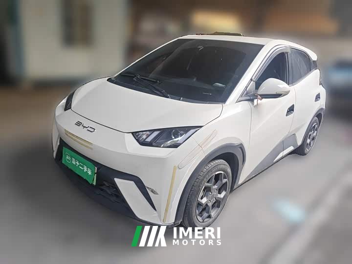 BYD Seagull 2023 Vitality Edition - ავტომობილი ჩინეთიდან