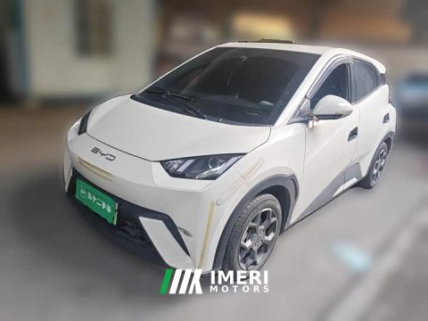 2024 BYD Seagull 2023 Vitality Edition - ავტომობილი ჩინეთიდან