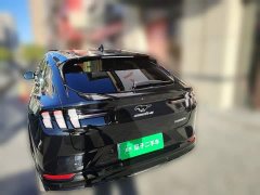 Ford Mustang Mach-E 2021 Boundless RWD Luxury Long Range - ფოტო 3