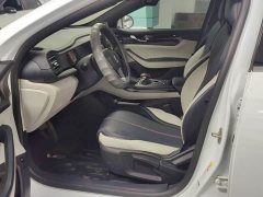 BYD Qin Plus 2021 DM-i 55KM Flagship - ფოტო 8