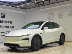 Tesla Model Y Long Range All-Wheel Drive - ფოტო 1