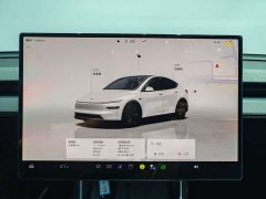 Tesla Model Y Long Range All-Wheel Drive - ფოტო 10