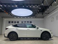 Tesla Model Y Long Range All-Wheel Drive - ფოტო 13