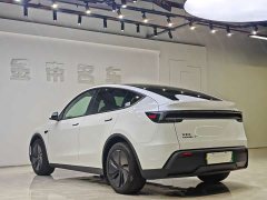 Tesla Model Y Long Range All-Wheel Drive - ფოტო 16