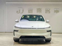 Tesla Model Y Long Range All-Wheel Drive - ფოტო 2