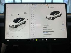 Tesla Model 3 2023 Rear-Wheel Drive - ფოტო 9