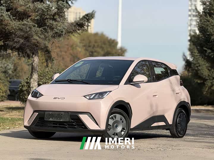 BYD Seagull Glory Edition 305km Vitality Version - ავტომობილი ჩინეთიდან