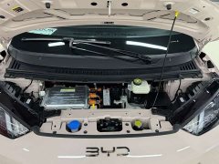 BYD Seagull Glory Edition 305km Vitality Version - ფოტო 10