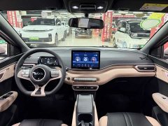 BYD Seagull Glory Edition 305km Vitality Version - ფოტო 16