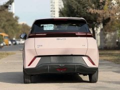 BYD Seagull Glory Edition 305km Vitality Version - ფოტო 5